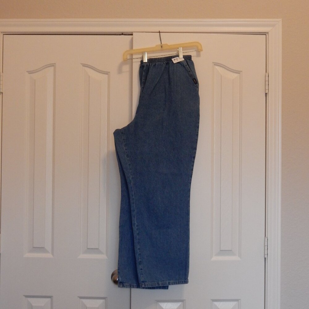 Jeans-Chic Woman Plus Petite Denim Jeans, Size 20W, Elastic Waist, 2 Pockets (9)